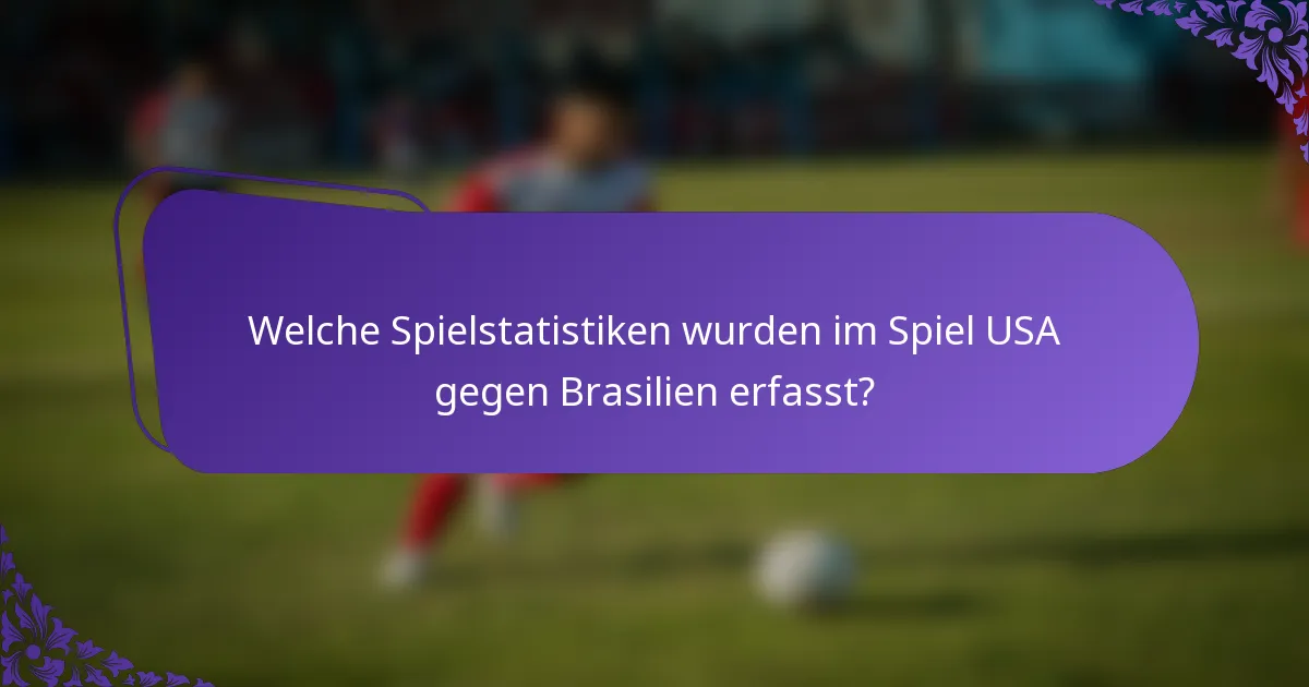 Welche Spielstatistiken wurden im Spiel USA gegen Brasilien erfasst?