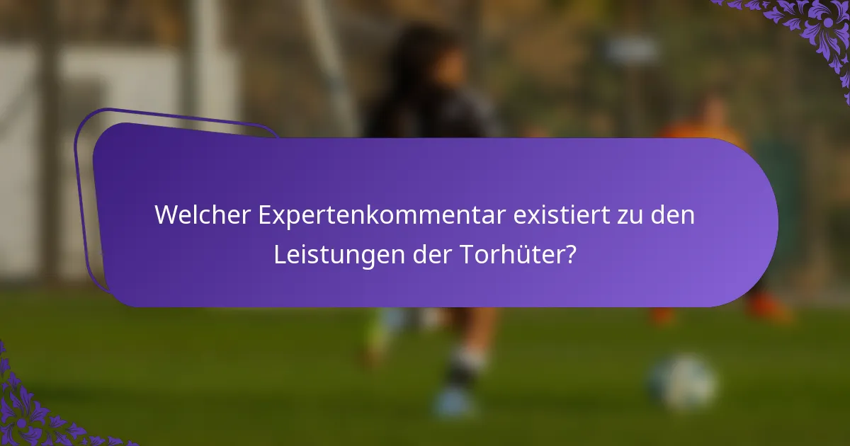 Welcher Expertenkommentar existiert zu den Leistungen der Torhüter?
